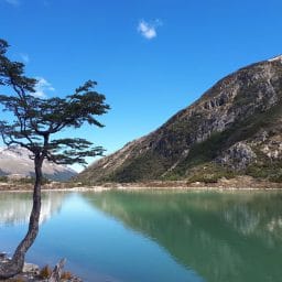 Argentyna – część 1: Półwysep Valdes i Ziemia Ognista, czyli o wielorybach i bobrach
