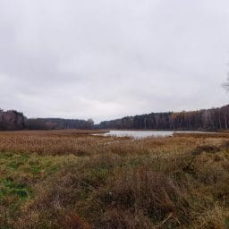 Wycieczki za miasto. Na wschód od Poznania