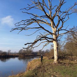 Wycieczki za miasto. Na południe od Poznania