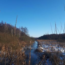 Wycieczki za miasto. Na zachód od Poznania
