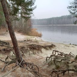 Wycieczki za miasto. Na północ od Poznania