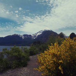 Jak polubiłam jeździć stopem, czyli o ludziach poznanych w podróży, argentyńskich bohater(k)ach i polskim dinozaurze