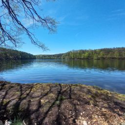 Łagów – część 1. Dwa jeziora, jeden potok i Noblista od bakterii