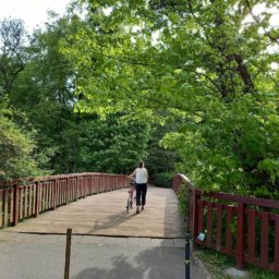 Spacery po Poznaniu: przez Rusałkę i Park Sołacki