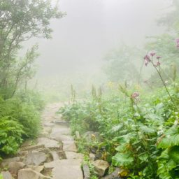 Skąd się biorą szlaki, czyli letnie wejście na Diablak