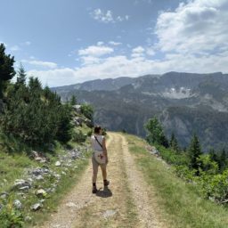 Prosto potem w lewo w Kultura u Podstaw!