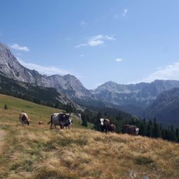 Tam gdzie kończą się bośniackie drogi: Lukomir i Sutjeska