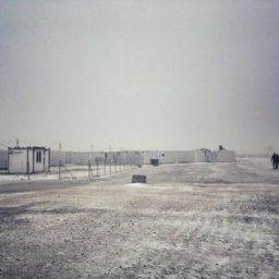 Pies dostał paszport, dzieci nie