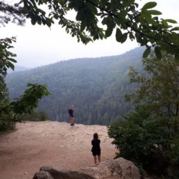 Słowacki Raj. W górę potoku