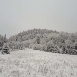 W Sokołowsku – terapia sztuką