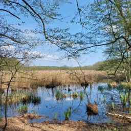 Lubuskie – część pierwsza: Stołuń, Polski Mastodont i camping u Rity