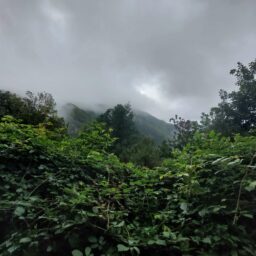 Madera – gdyby nie silny wiatr być może losy wyspy potoczyłyby się inaczej