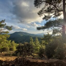 Cypr – wyspa słońca i życzliwych ludzi