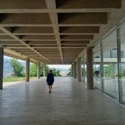 Skopje – miasto solidarności