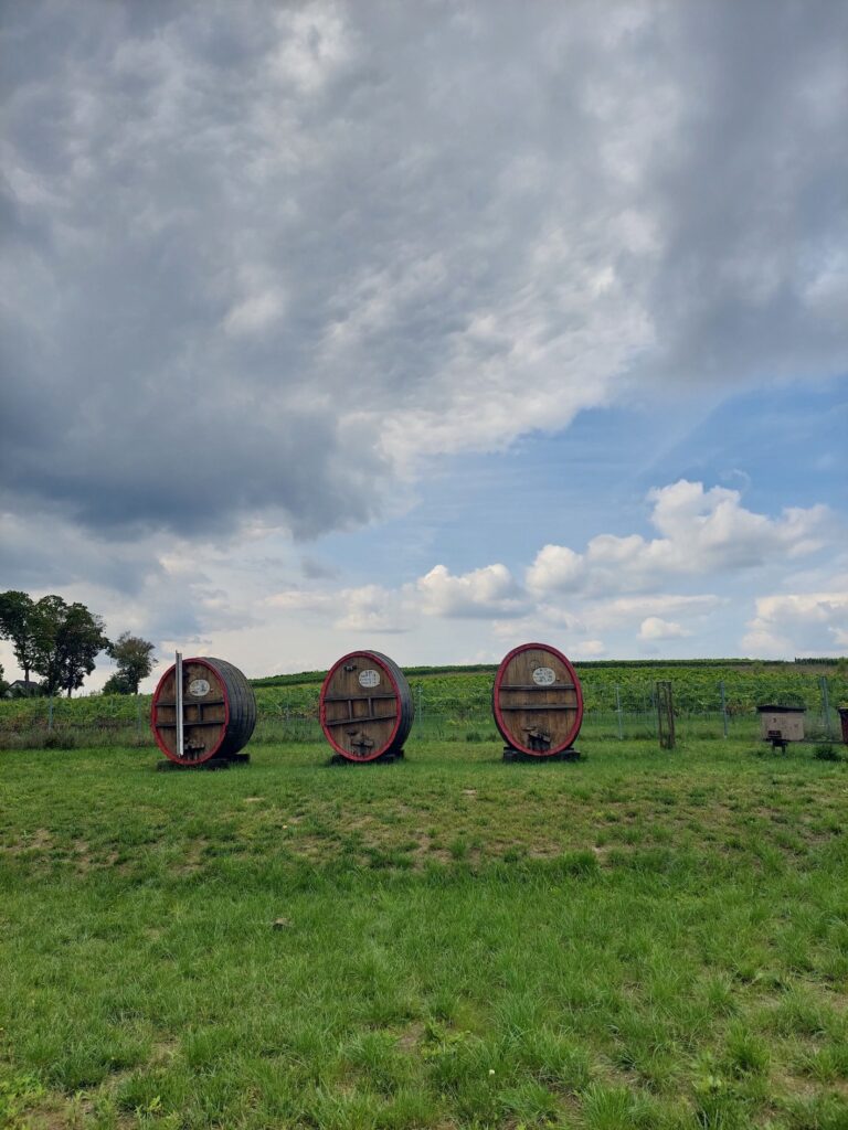 Kolorowe zdjęcie. Beczki z winem na polu.