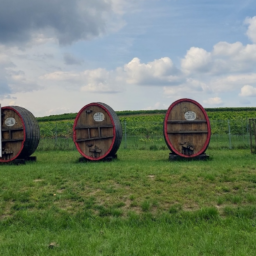 Zabór: amerykański paparazzi i cesarski ślub