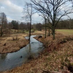Ruks-Młyn, osada z katalogu zabytków
