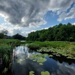 Puszcza Barlinecka i okolice: Okno, Santoczno i Danków