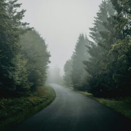 Na koniec roku o babci i innych osobach w drodze