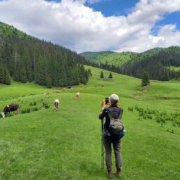 Góry Rumunii: rajskie Apuseni, oblegane Bucegi i oszałamiające Retezat