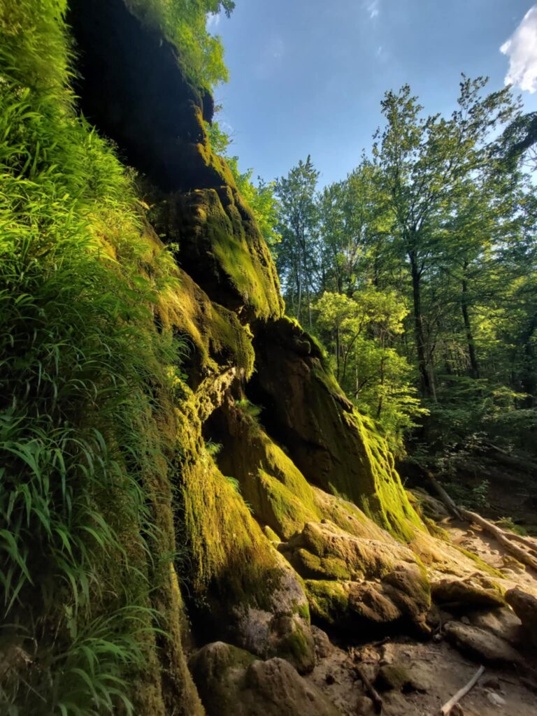 Kolorowe zdjęcie. Soczyście zielona skała